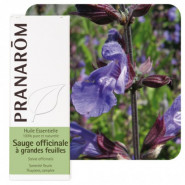 Huile essentielle de Sauge officinale