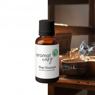 Fragrance Nag Champa