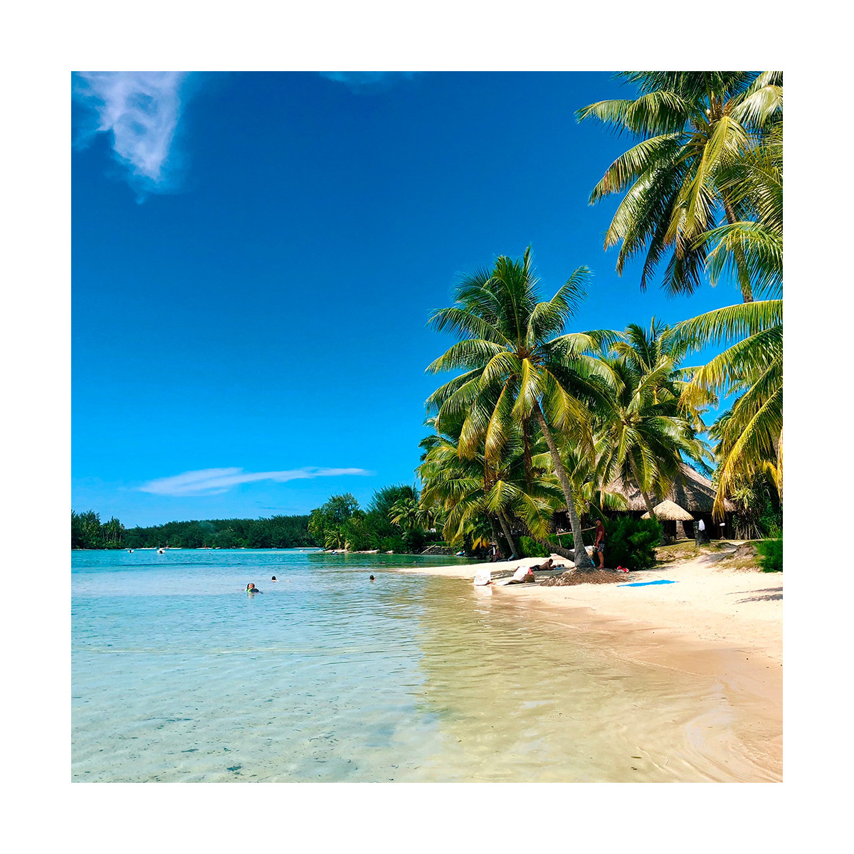 Fragrance Moorea