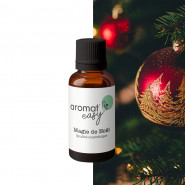 Fragrance Magie de Noël