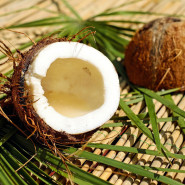 Fragrance Noix de coco (Grasse)