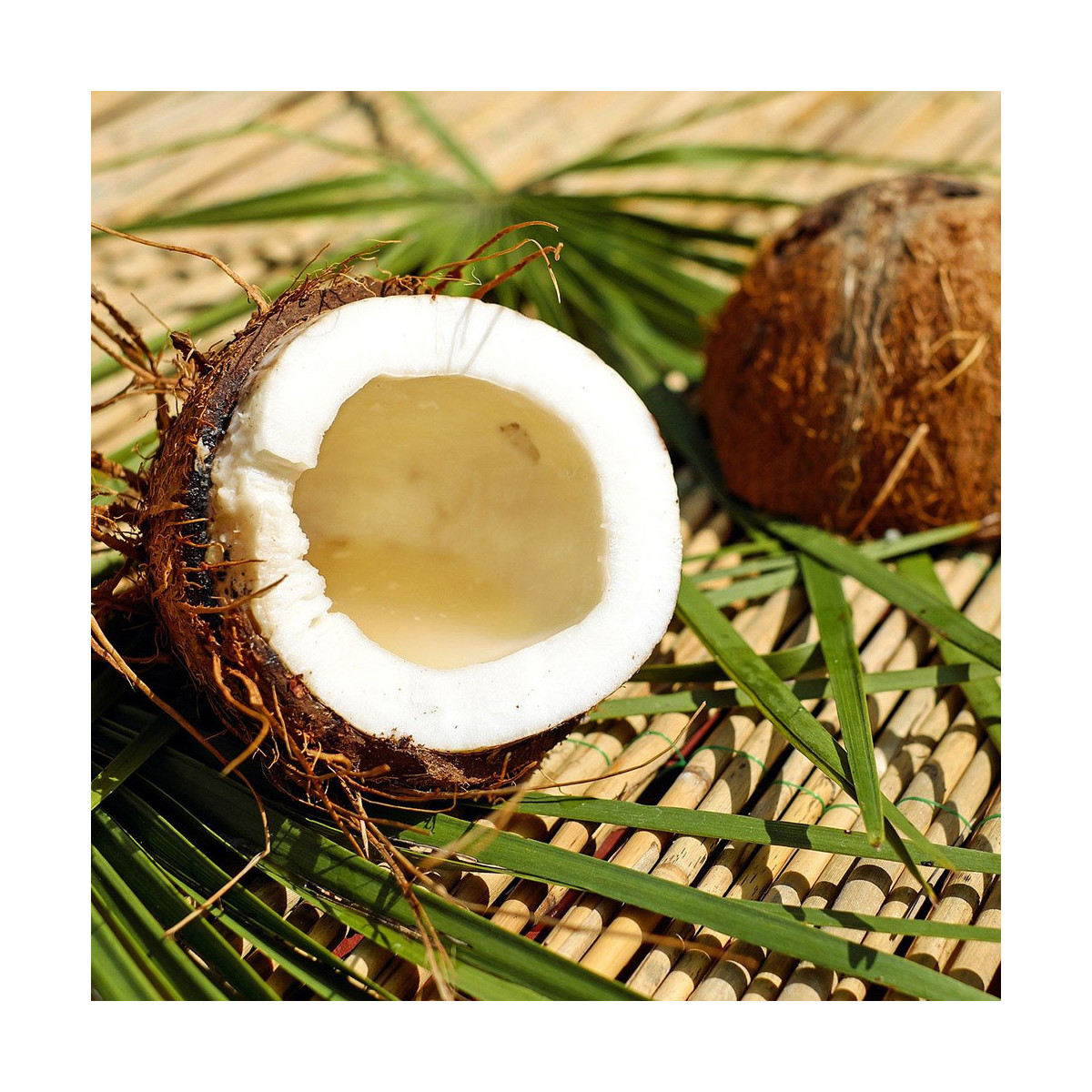 Fragrance Noix de coco (Grasse)