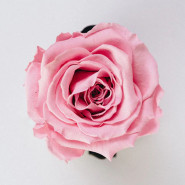Extrait pour parfum Rose