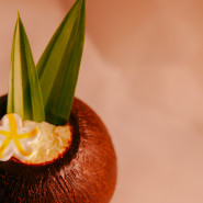 Fragrance Coco Citronnelle