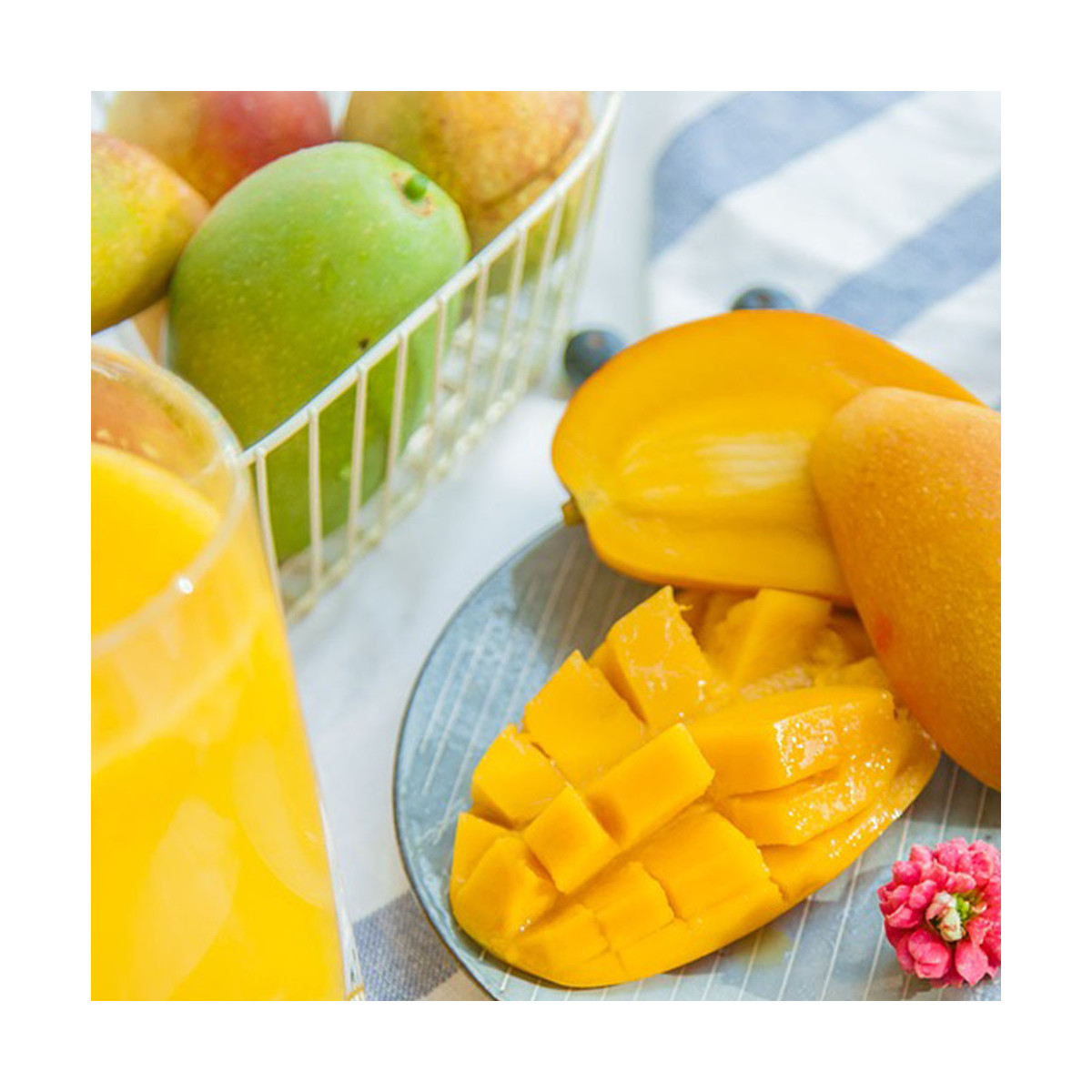 Fragrance Mangue (Grasse) Sans allergène