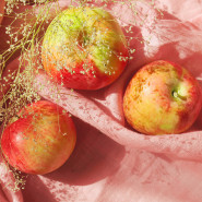 DL/Fragrance Le fruit défendu - Sans allergène