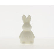 Moule en silicone lapin